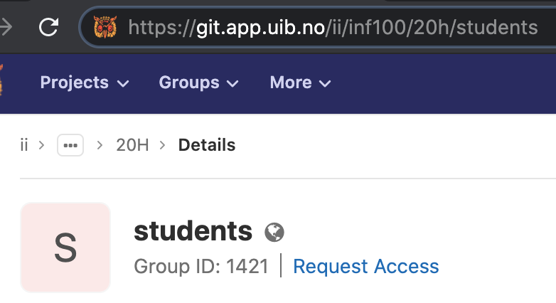 ../_images/git-group-access.png