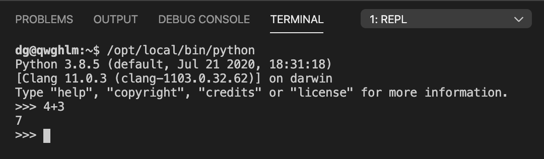 ../_images/vscode-repl.png